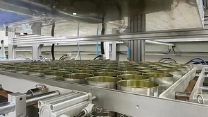 Beverage Can Production Line for an Indian Customer