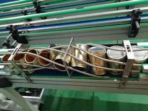 Can Turning Machine