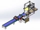 Automatic Low Level Can Palletizer