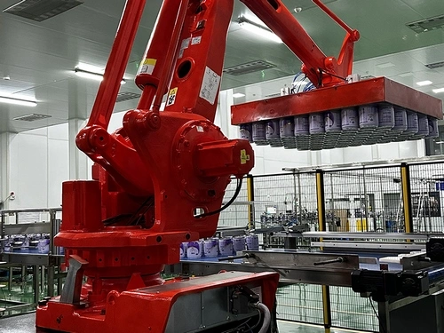 Robotic Palletizer