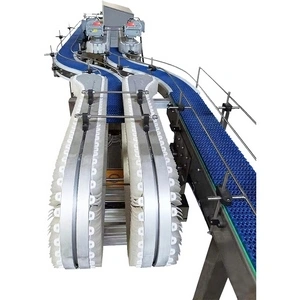 Gripper Conveyor (Side Grip Conveyor)