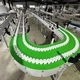 Flexible Chain Conveyor